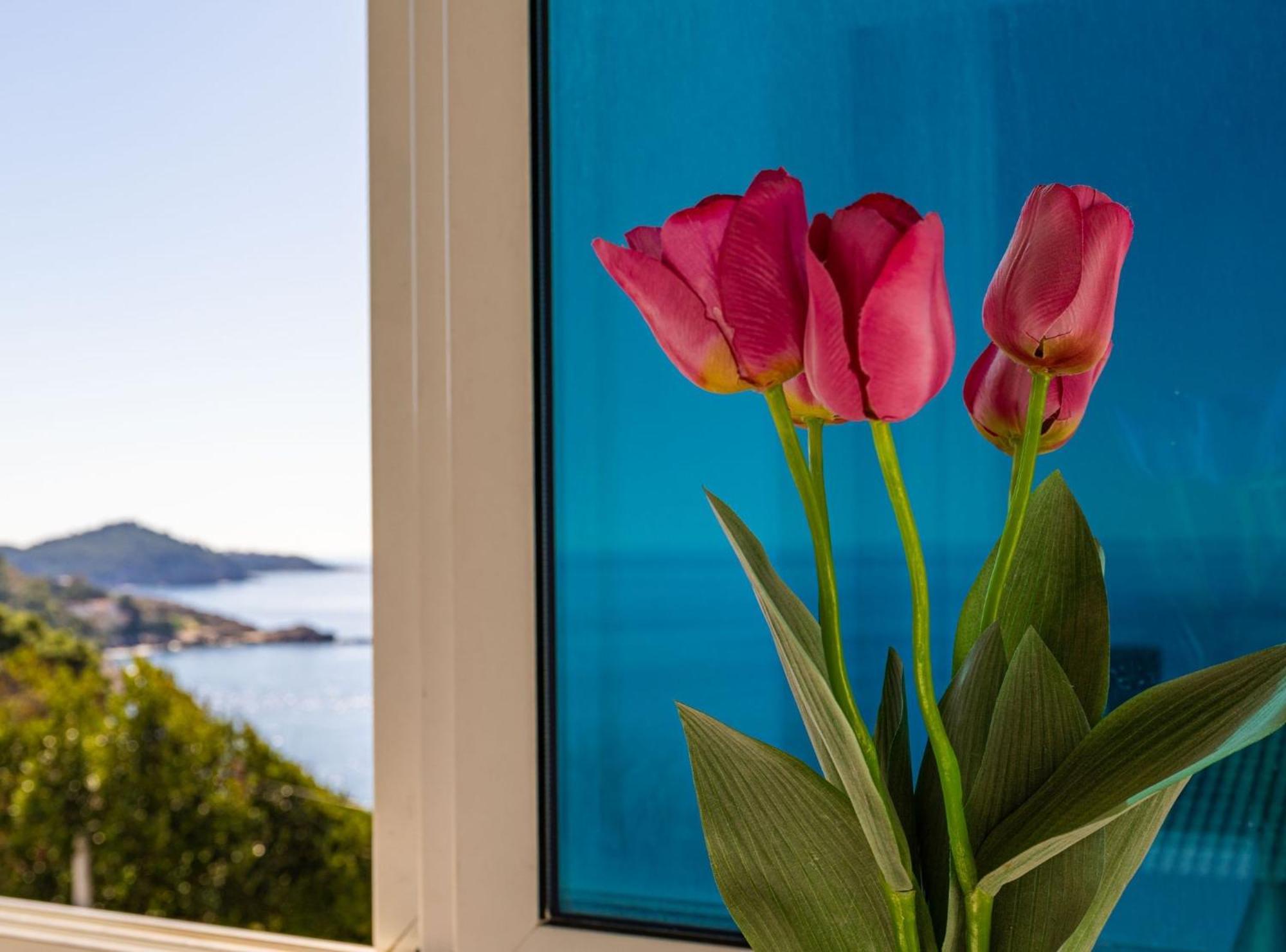 Apartment Butterfly Dubrovnik Exteriör bild